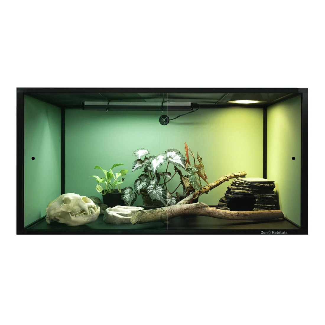 A planted 4 by 2 by 2 foot Zen Habitats enclosure in Sage Green